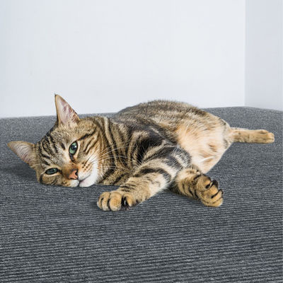 Alfombrilla autoadhesiva para rascar gatos, Protector de muebles para rascar gatos, 60x200cm